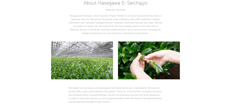Website for Chaho-yutoha