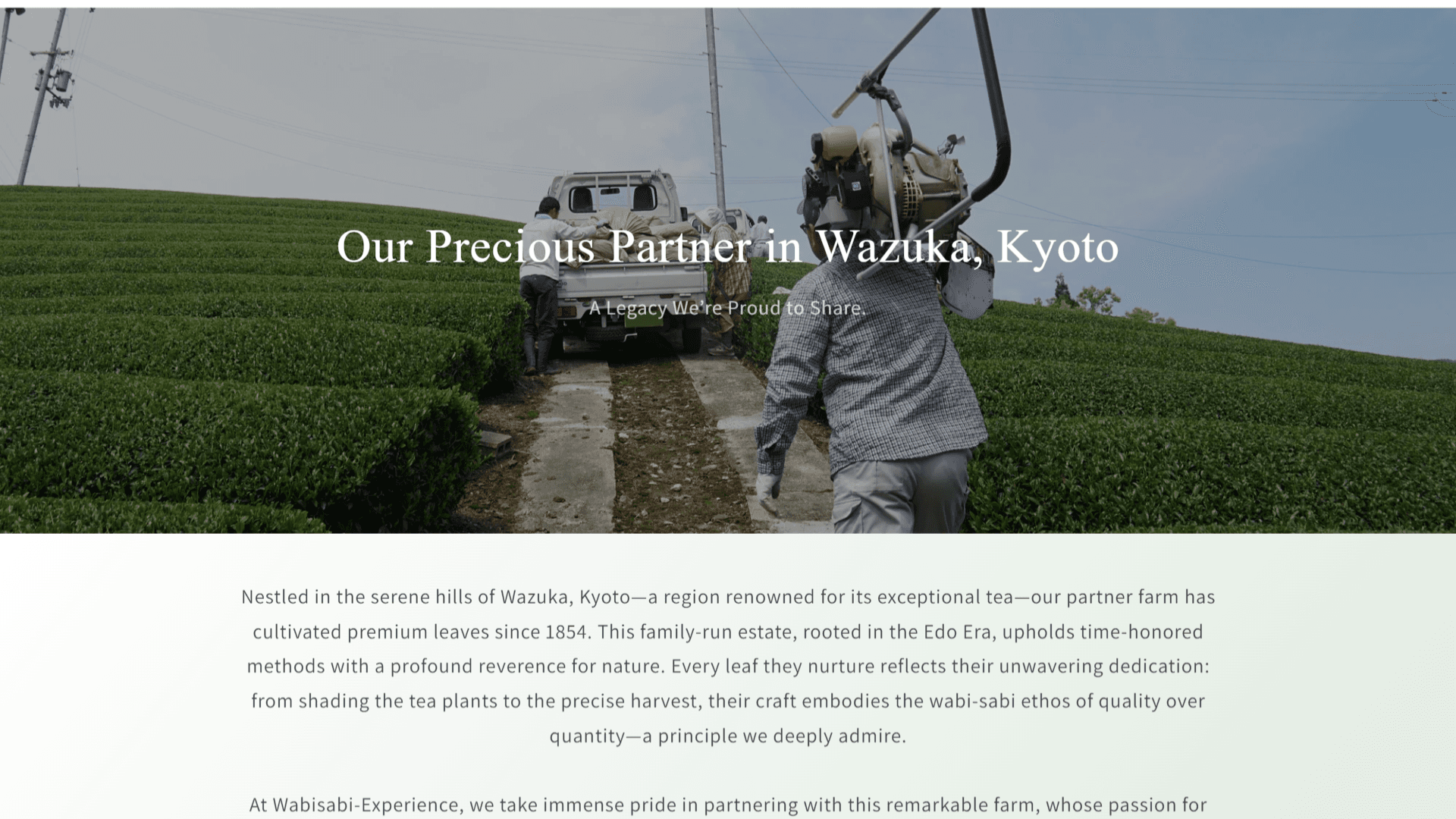 Wabisabi-Experience - About page section